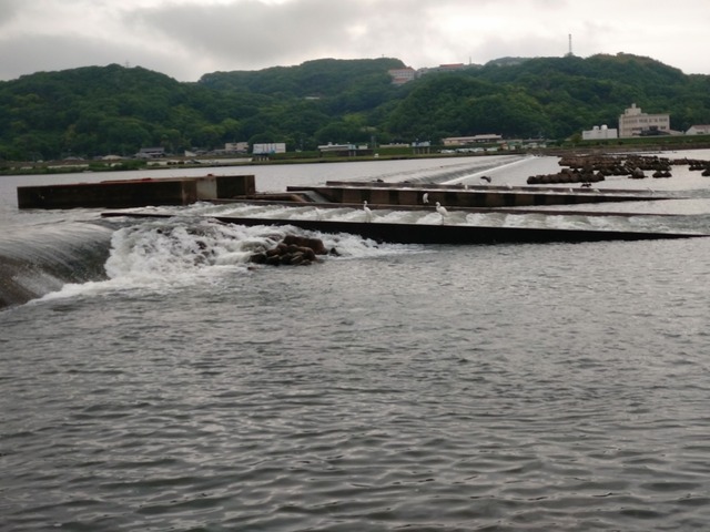 DSC_2998.JPG